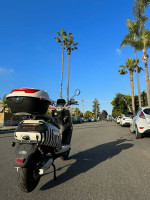 Zebra Zx2 Electric Scooter
