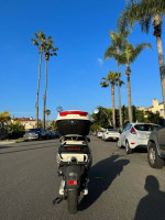 Zebra Zx2 Electric Scooter
