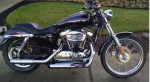 2004 1200 Sportster