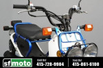 2023 Honda Ruckus In Stock Now!