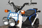 2023 Honda Ruckus In Stock Now!
