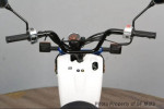 2023 Honda Ruckus In Stock Now!