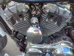 2013 Harley-Davidson Sportster XL1200cp