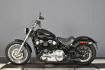 2020 Harley-Davidson® Softail Standard®