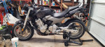 2006 Honda CB600 Hornet