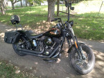 Crossbones