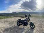 Harley davidson street bob dyna