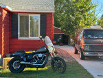 Harley davidson street bob dyna
