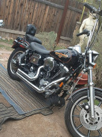 Dyna low rider