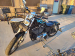 2010   XL1200