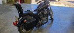 2003 harley sportster xl1200c