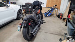2022 Harley Softail Street Bob 114