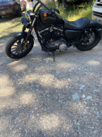 Harley iron 883xl