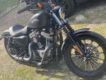Harley iron 883xl