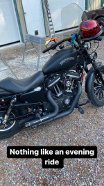 Harley iron 883xl
