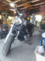 2015 Harley Sportser 1200 Custom 38 MILES