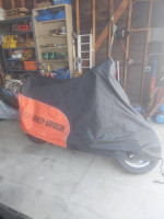 2015 Harley Sportser 1200 Custom 38 MILES
