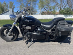 Suzuki Boulevard M50 (800cc)