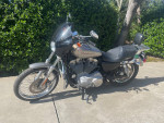 2007 Harley-Davidson Sportster 883C