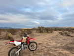 2004 Honda XR650R