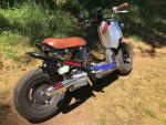 2014 Honda Ruckus
