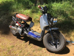 2014 Honda Ruckus