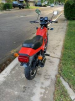 1982 Honda FT 500 Ascot
