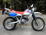 HONDA XR250L 1993