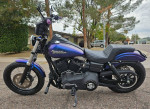 2010 Harley Davidson Dyna