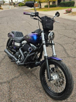 2010 Harley Davidson Dyna