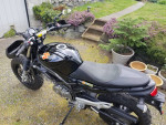 2009 Suzuki 650 Scrambler