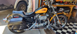 2000 Harley Sportster