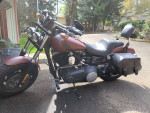 2017 harley fat bob (fxd)