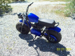 2023 Mud star off road minibikes