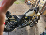 2015 Harley davidson softtail slim