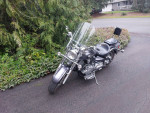 2009 V-Star Classic