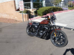 2017 Harley Davidson XL883 Iron