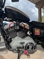 Loud and Fast Harley Sportster 1200