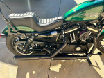 2022 hd sportster
