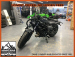 2024 Kawasaki Eliminator ABS Pearl Storm Gray SKU:14RDA05079-K