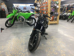 2024 Kawasaki Eliminator ABS Pearl Storm Gray SKU:14RDA05079-K