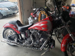 Custom softail harley