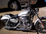 2005 harley 1200 sportster custom