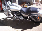 2005 harley 1200 sportster custom