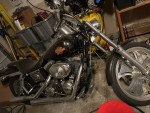 2001 Harley Davidson Dyna Wideglide