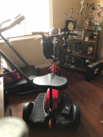 E-18 sit or stand scooter
