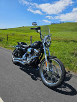 2016 Harley Sportster Seventy Two (72) XL1200v black