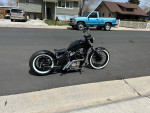 Honda Shadow