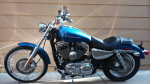 Harley-Davidson Sportster 1200 custom