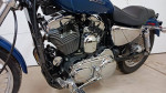 Harley-Davidson Sportster 1200 custom
